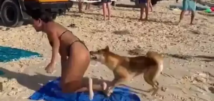 ...