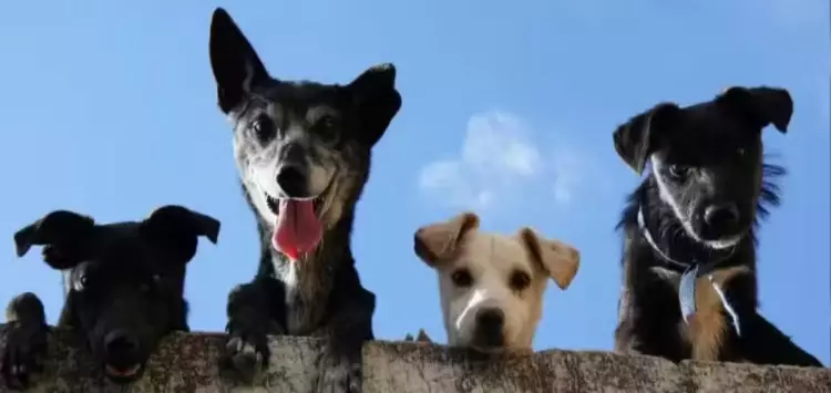 ...