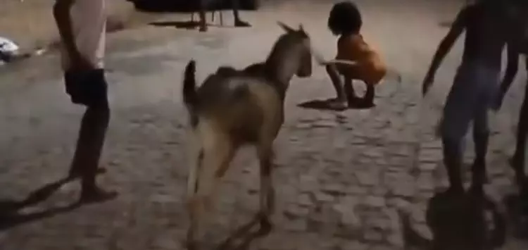 ...