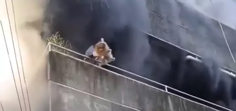...