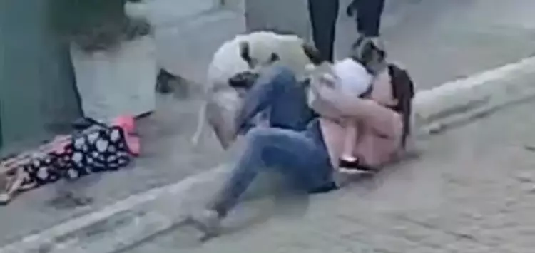 ...