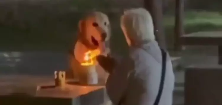 ...