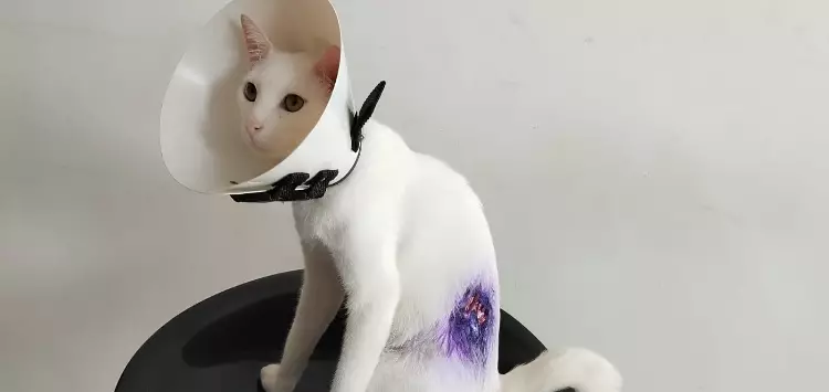 ...
