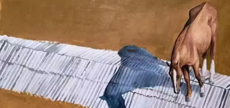 ...